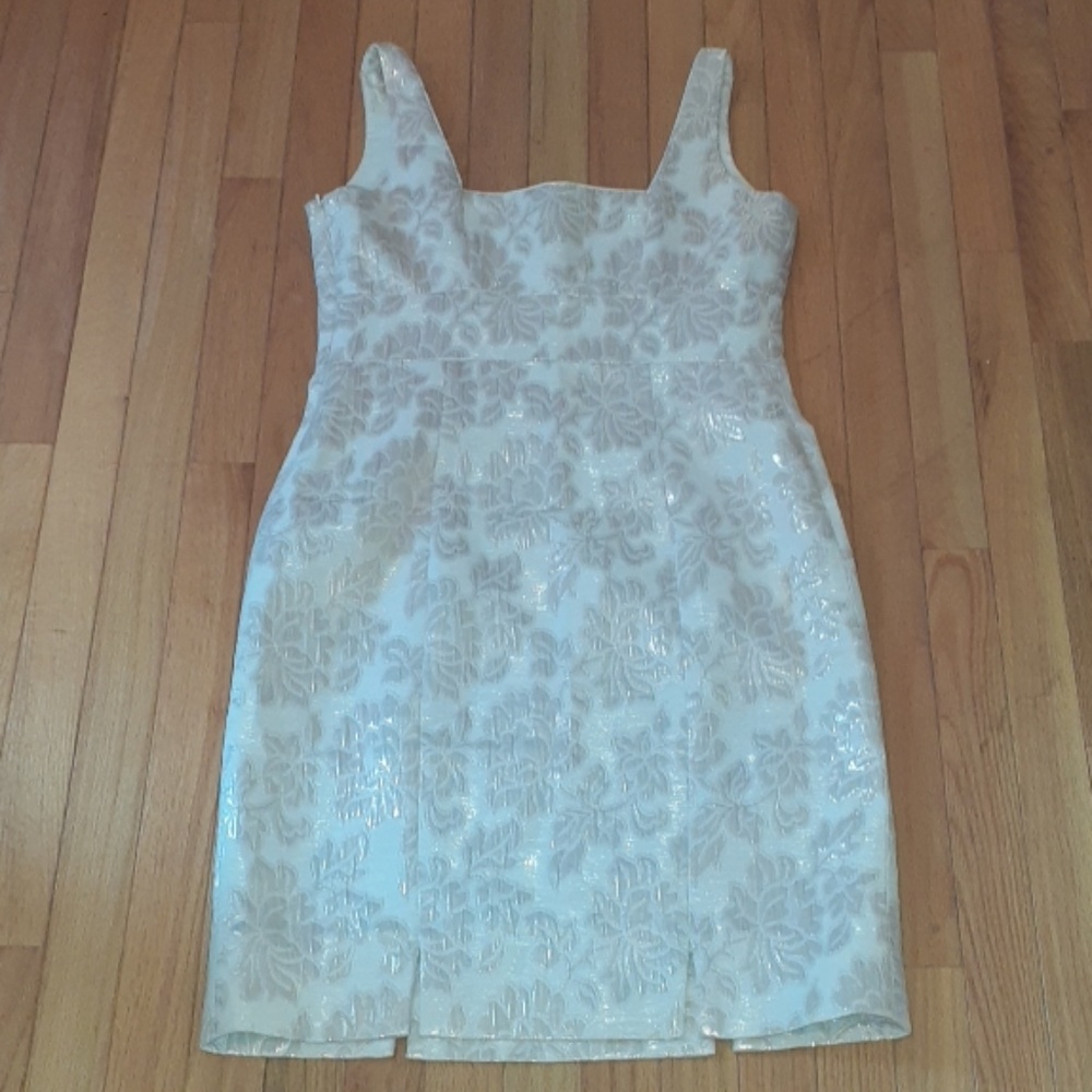 Evan Picone Dress